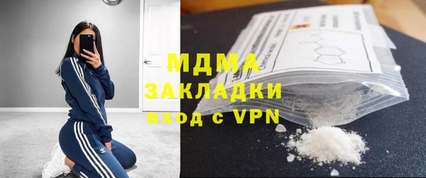 гидра Богородицк