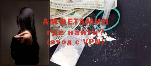 гидра Богородицк