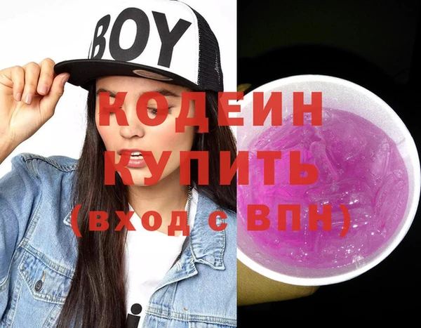 гидра Богородицк
