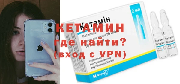 гидра Богородицк