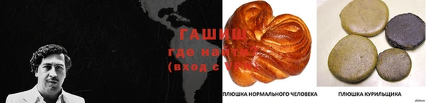 гидра Богородицк