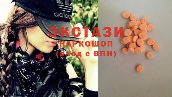 гидра Богородицк