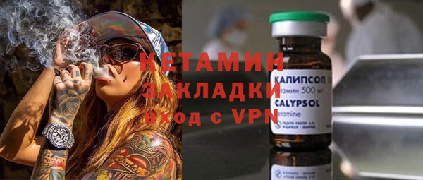гидра Богородицк